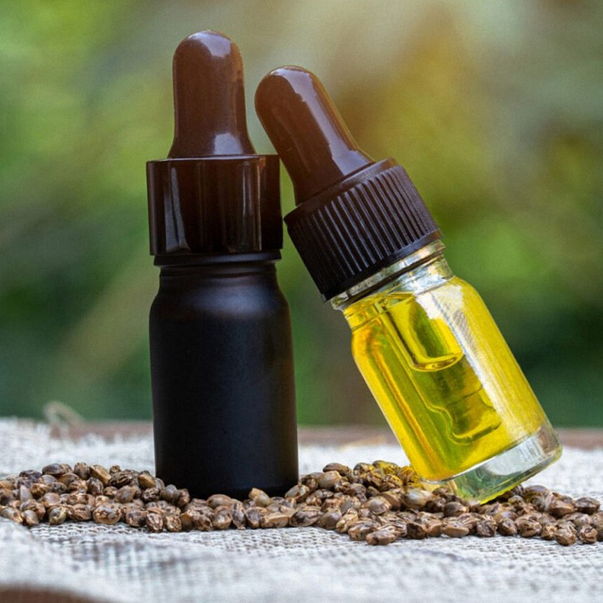 Premium CBD Oils in Toronto